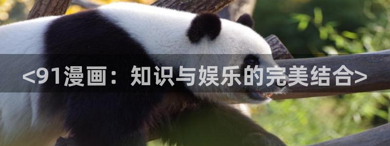 香蕉文化漫画免费入口的优点