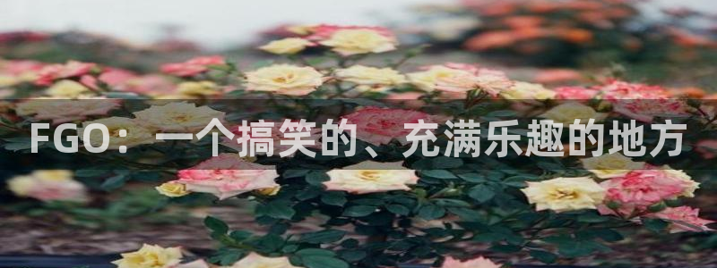 香蕉在线观看视频