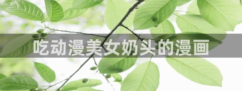 香蕉文化漫画动画小说