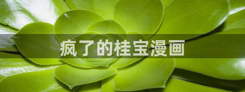 香蕉文化漫画书免费阅读平台网页