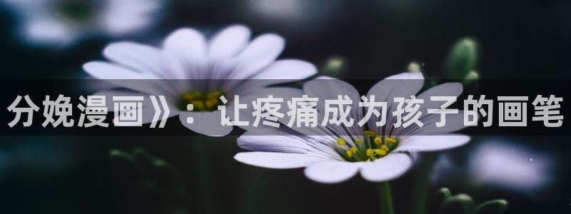 香蕉漫画网页入口