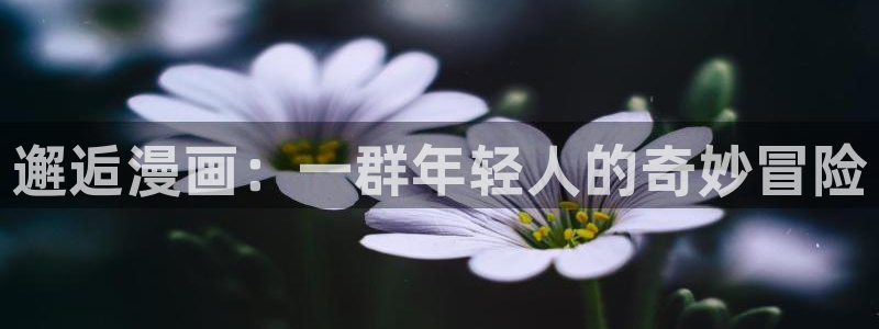 香蕉漫画黄：邂逅漫画：一群年轻人的奇妙冒险