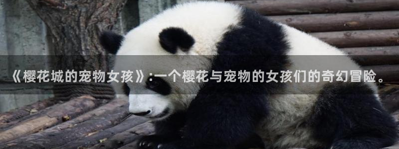 香蕉文化漫画小说还更新吗：《樱花城的宠物女孩》:一个樱花与宠物的女孩们的奇幻冒险。