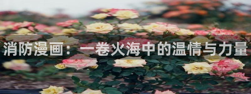 香蕉漫画版：消防漫画：一卷火海中的温情与力量