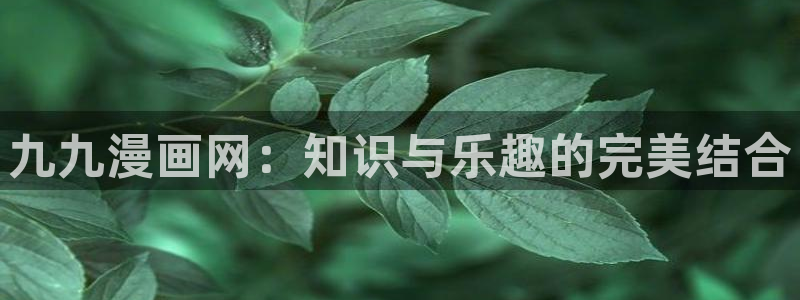 香蕉漫画网站免费：九九漫画网：知识与乐趣的完美结合