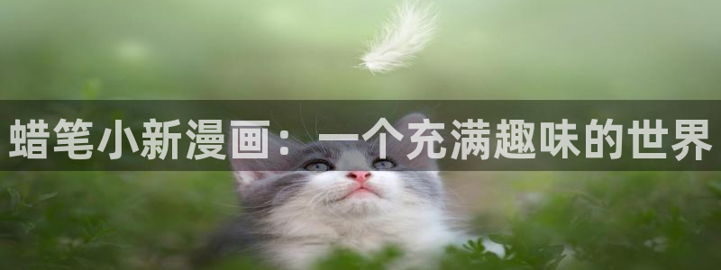 香蕉文化漫画网：蜡笔小新漫画：一个充满趣味的世界
