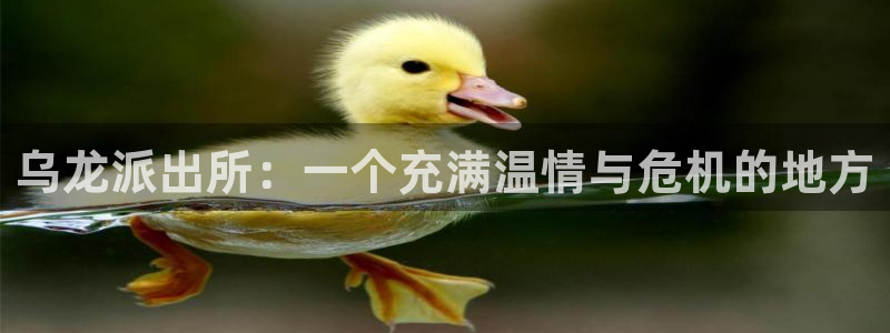 香蕉漫画免费阅读下拉：乌龙派出所：一个充满温情与危机的地方