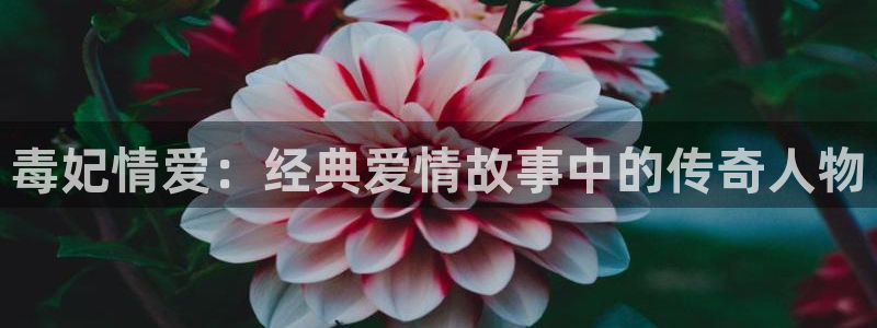 香蕉漫画免费版在线阅读：毒妃情爱：经典爱情故事中的传奇人物