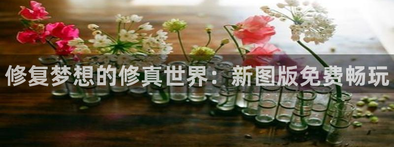 香蕉网站在线观看：修复梦想的修真世界：新图版免费畅玩