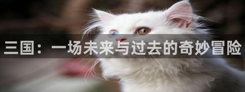 香蕉漫画免费阅读入口：三国：一场未来与过去的奇妙冒险