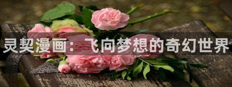 韩国香蕉漫画在线观看：灵契漫画：飞向梦想的奇幻世界