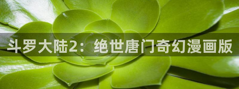 香蕉漫画日漫：斗罗大陆2：绝世唐门奇幻漫画版